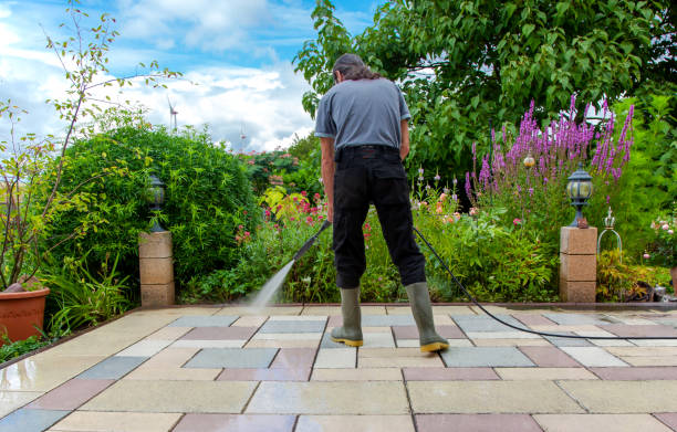 Best Pool Deck Cleaning  in Pine City, MN